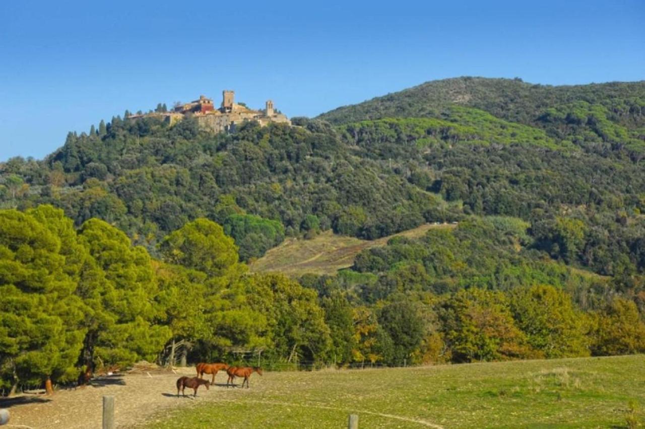 Podere Le Maccagnane 66 Podere Dottrina Kültér fotó